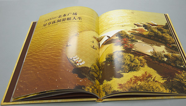 网站名称